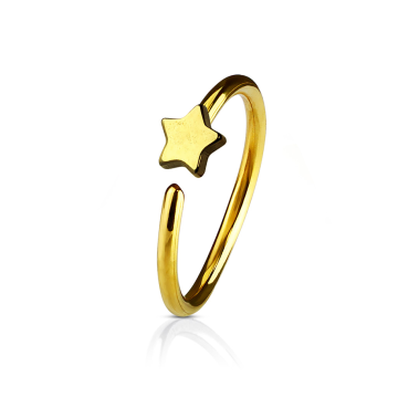 Argolla Figura Estrella G20 Anodizado Dorada